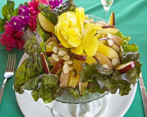 Sunvivia by Fiesta Americana Resort & Spa – photo 13