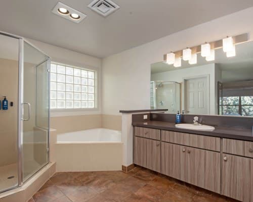 WorldMark Eagle Crest – photo 39