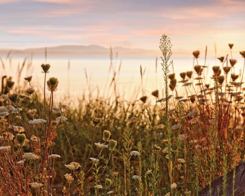 WorldMark Birch Bay - 6 Nights – photo 15