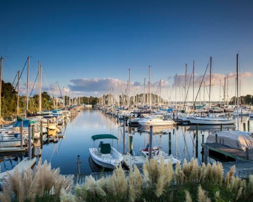 Fairfield Harbour/Windjammer Villas II – photo 18