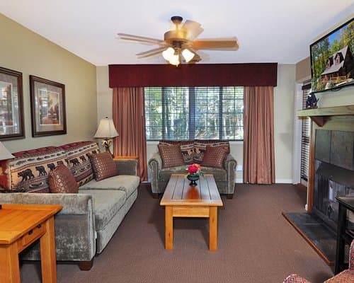 Festiva Blue Ridge Village II – photo 8
