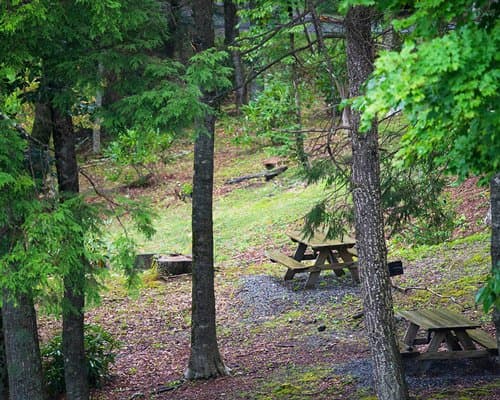 Festiva Blue Ridge Village II – photo 11