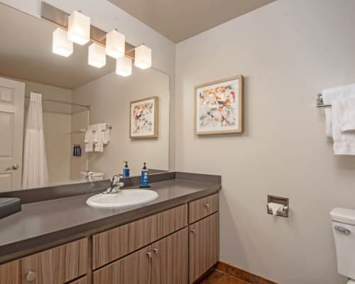 WorldMark Eagle Crest – photo 18