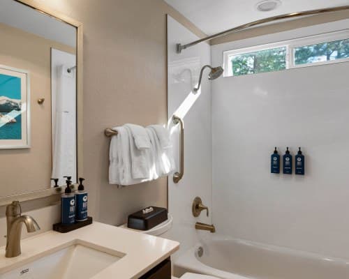 WorldMark Tahoe I -4 Nights – photo 36