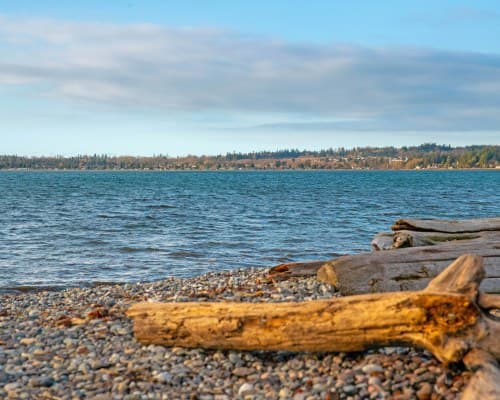 WorldMark Birch Bay - 6 Nights – photo 42