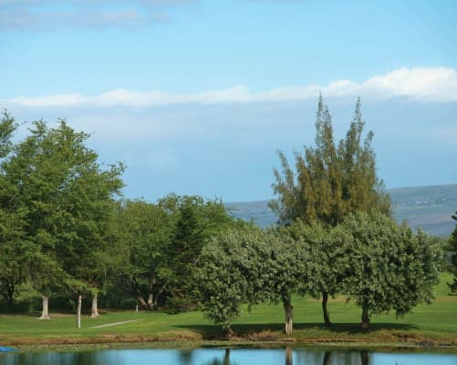 Shell Vacations Club @ Paniolo Greens – photo 15
