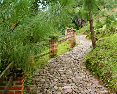Bosque La Luna - 4 Nights – photo 8