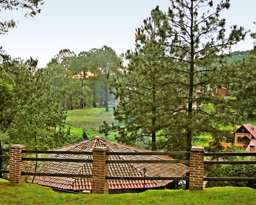 Bosque La Luna - 4 Nights – photo 9