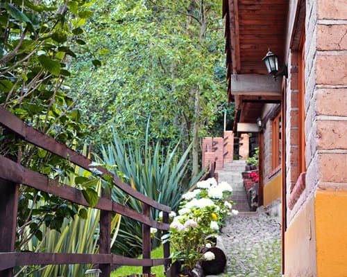Bosque La Luna - 4 Nights – photo 11