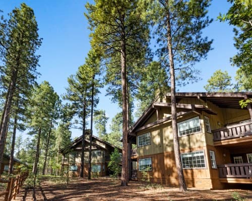 Club Wyndham Pinetop – photo 8