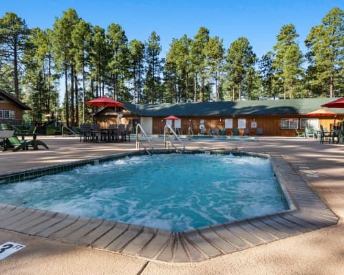 Club Wyndham Pinetop – photo 5