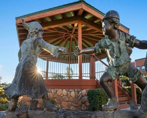 Club Wyndham Bison Ranch – photo 12