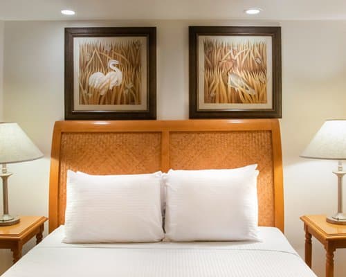 The Marlin at Taino Beach – photo 16