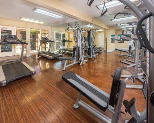 Club Wyndham Desert Rose Resort - 5 Nights – photo 4